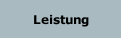 Leistung